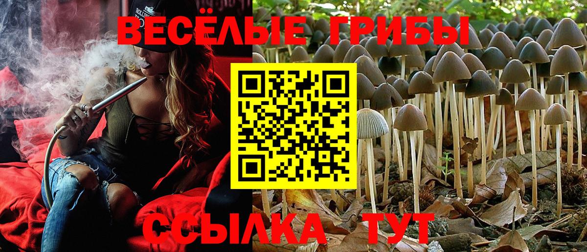 Кувандык  Галлюциногенные грибы мицелий  где купить наркоту  Вход с VPN 